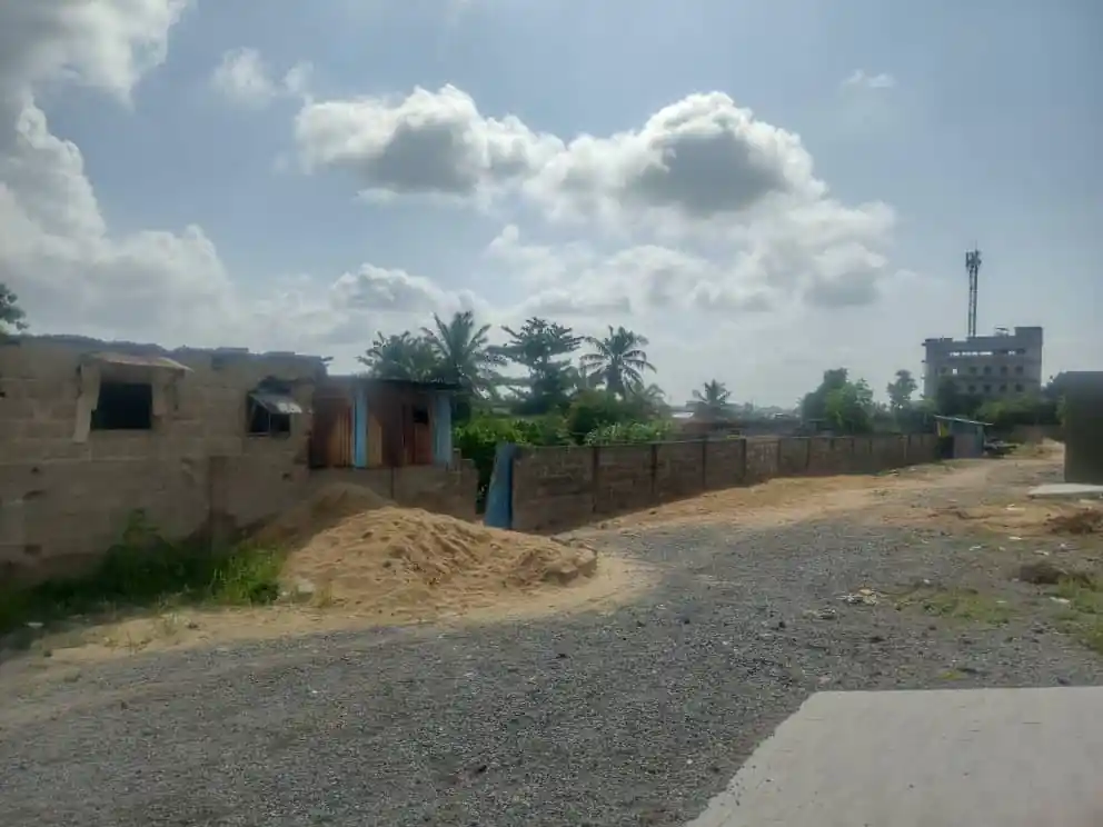 photo parcelle fidjrosse03