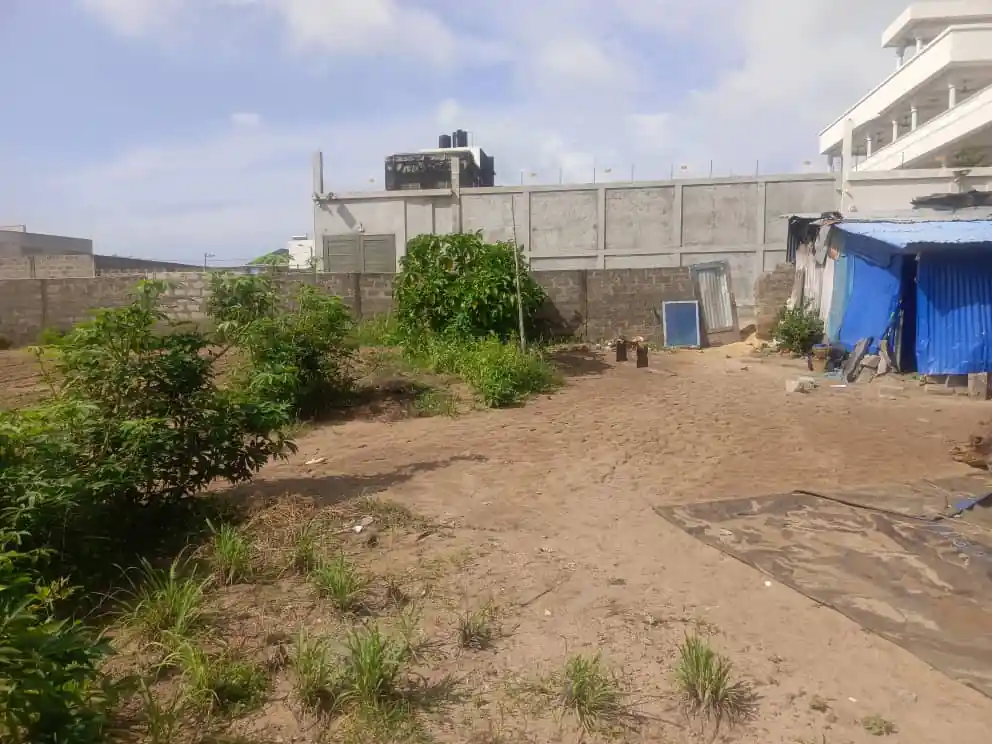 photo parcelle fidjrosse04