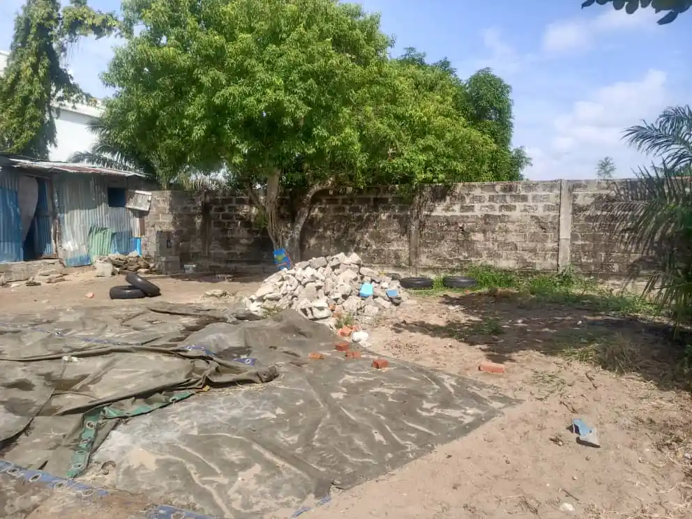 photo parcelle fidjrosse06