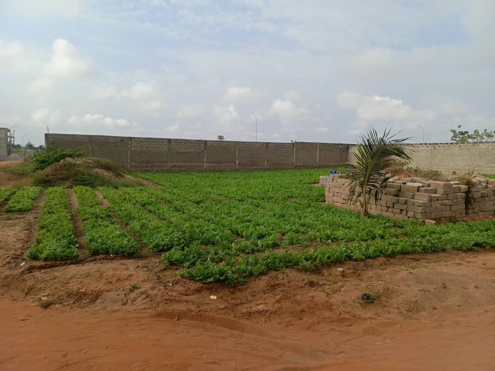 PARCELLE TOGLIN ZONE3 04