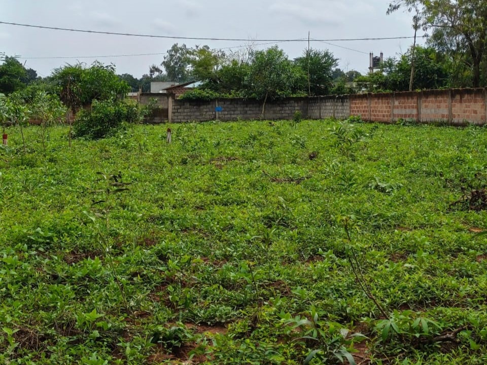 Domaine de 2500 m² à Ouedo Kouinvié