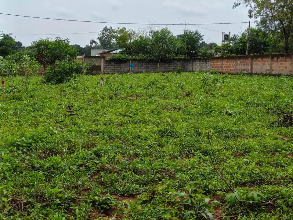 Domaine de 2500 m² à Ouedo Kouinvié