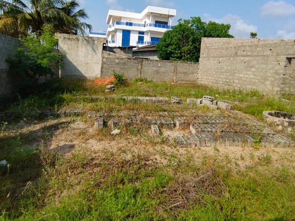 Belle Opportunité à Togbin Daho – Parcelle Clôturée en Bordure de Voie