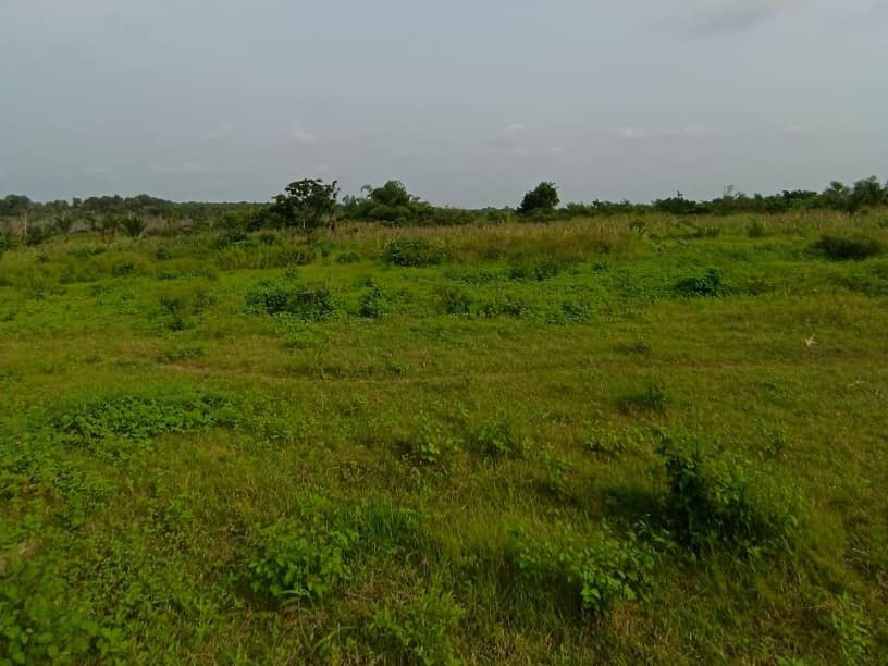 WhatsApp Image 2025-12-13 at 19.15.04 (2)