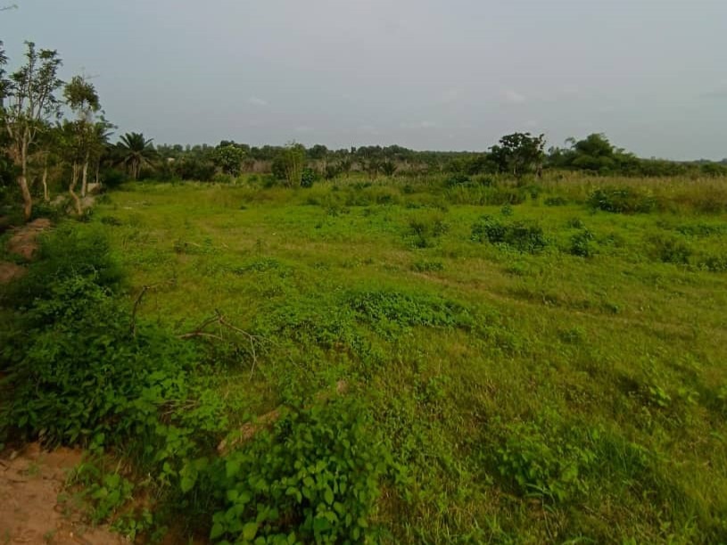 WhatsApp Image 2025-12-13 at 19.15.04 (3)