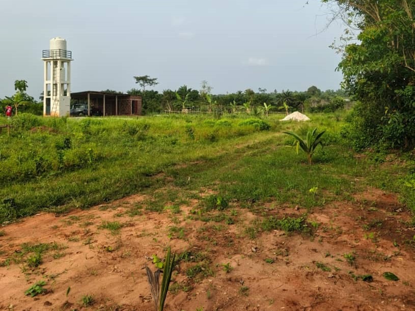 WhatsApp Image 2025-12-13 at 19.15.05 (1)