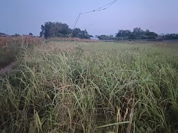 WhatsApp Image 2025-12-29 at 14.41.25 (1)