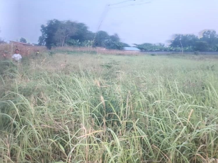 WhatsApp Image 2025-12-29 at 14.41.26 (1)