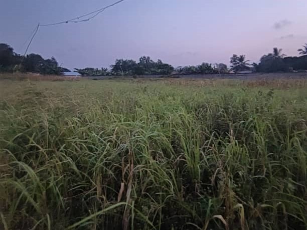 WhatsApp Image 2025-12-29 at 14.41.26