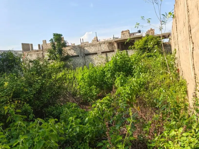 Deux parcelles à vendre à Togbin, Route des Pêches