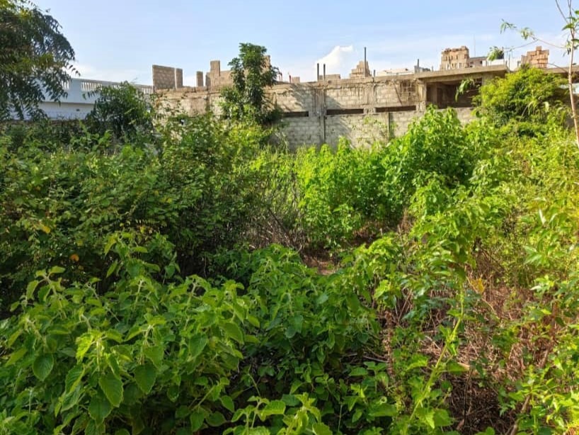 WhatsApp Image 2026-01-09 at 18.20.46