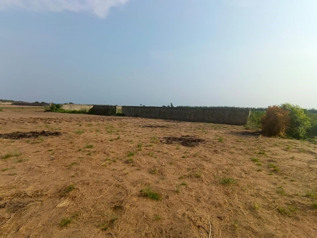 WhatsApp Image 2026-01-14 at 17.53.56 (1)