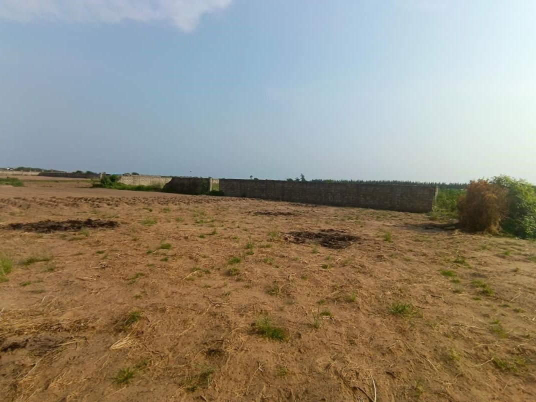 WhatsApp Image 2026-01-14 at 17.53.56 (2)