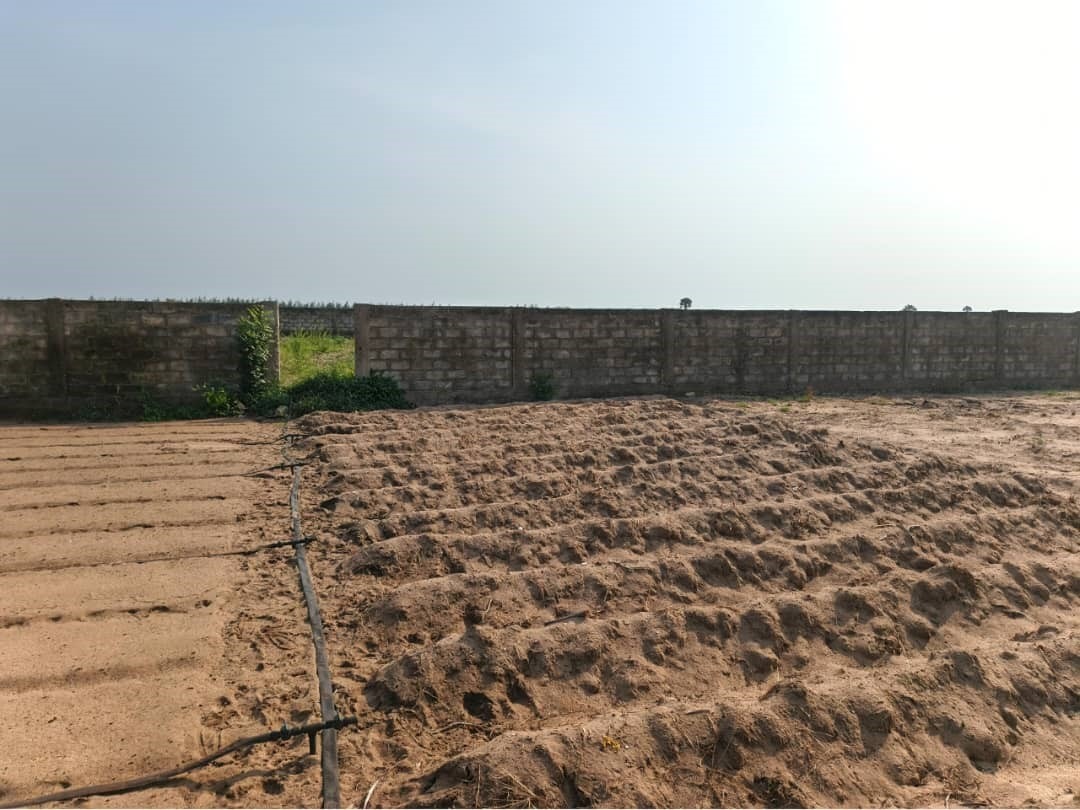 WhatsApp Image 2026-01-14 at 17.53.56 (3)