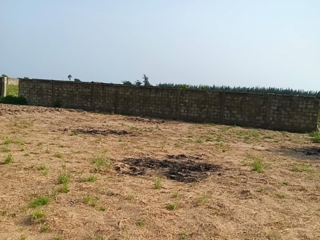 WhatsApp Image 2026-01-14 at 17.53.56