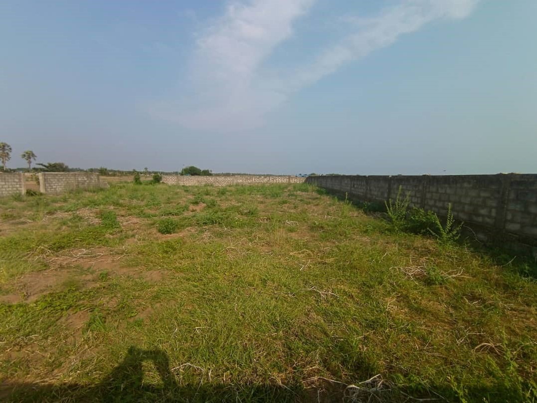 WhatsApp Image 2026-01-14 at 17.53.57 (1)