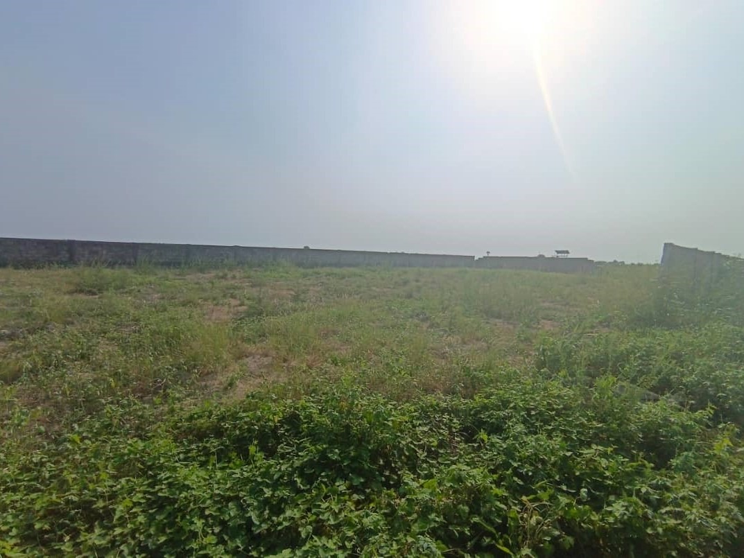 WhatsApp Image 2026-01-14 at 17.53.57 (2)