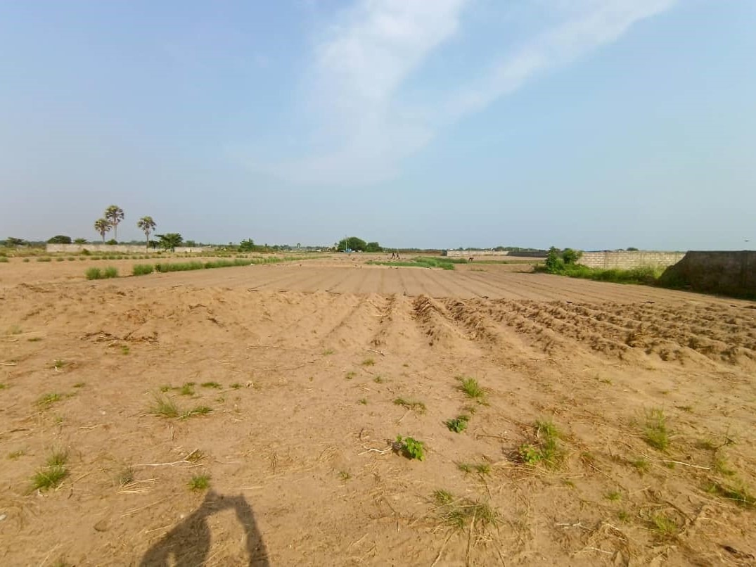 WhatsApp Image 2026-01-14 at 17.53.57 (3)