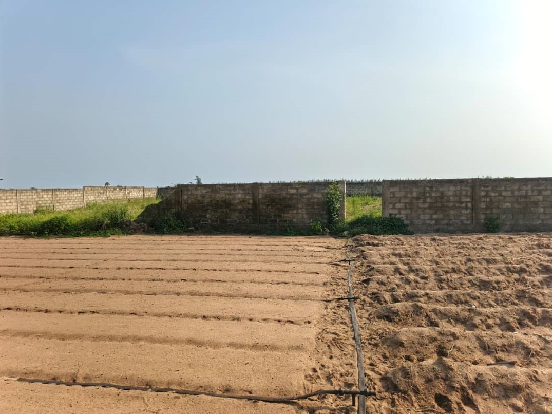 WhatsApp Image 2026-01-14 at 17.53.57