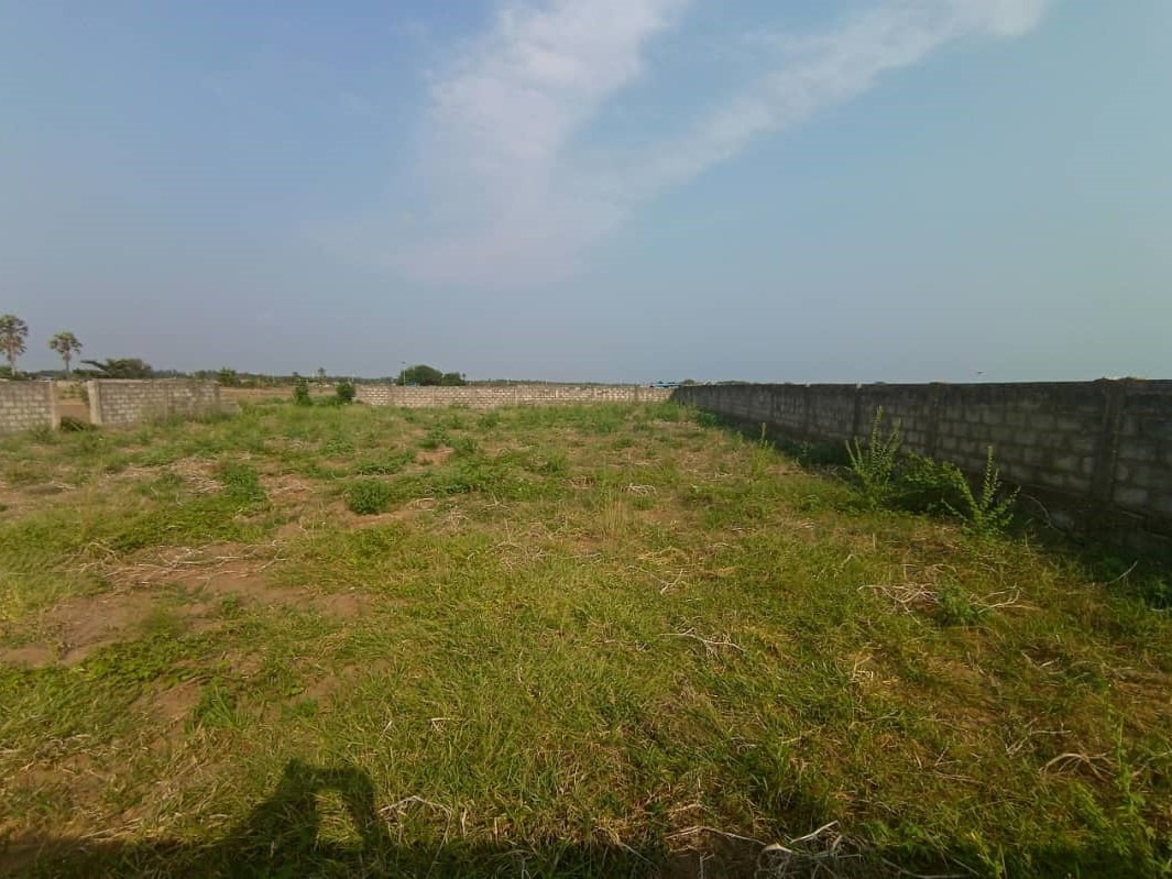 WhatsApp Image 2026-01-14 at 17.53.58 (2)