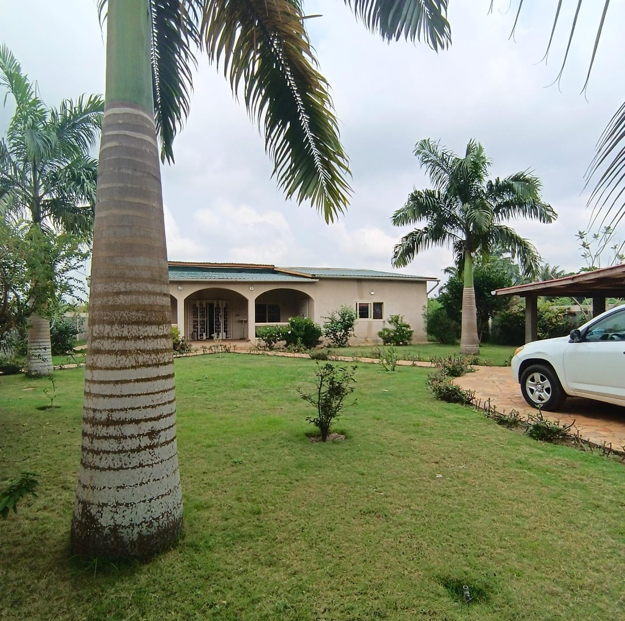 WhatsApp Image 2026-01-29 at 14.22.51