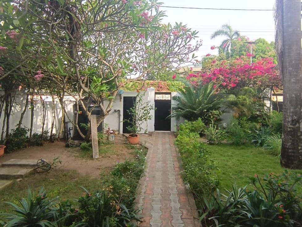 WhatsApp Image 2026-02-19 at 09.54.38