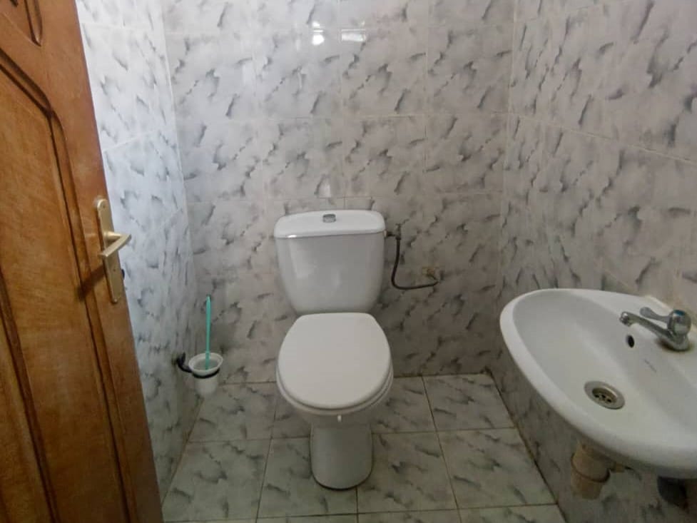 WhatsApp Image 2026-02-19 at 09.55.02